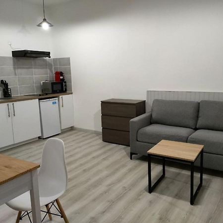 Saint Etienne Studio Lot 8 Apartment Toulouse Exterior foto